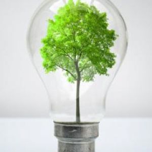 Árbol en bombilla