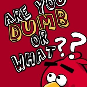 Cita Divertida de Angry Birds