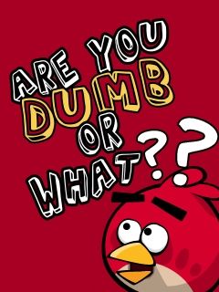 Cita Divertida de Angry Birds