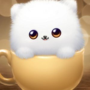 Gato Esponjoso y Adorable en una Taza