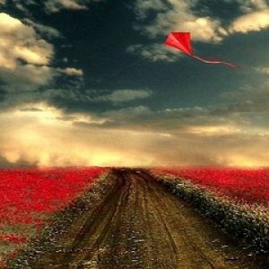 Campo de Flores Rojas con Cometa