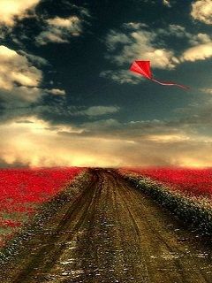 Campo de Flores Rojas con Cometa