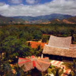 Paisaje tropical con cabañas