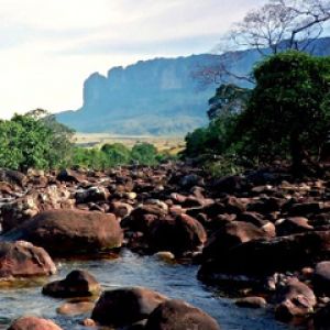 Paisaje Fluvial Sereno