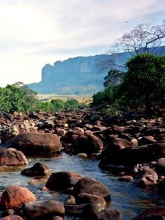 Paisaje Fluvial Sereno
