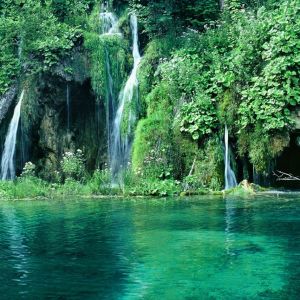Cascada Serena en la Naturaleza