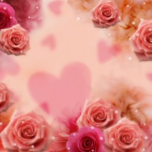 Rosas Rosadas Románticas