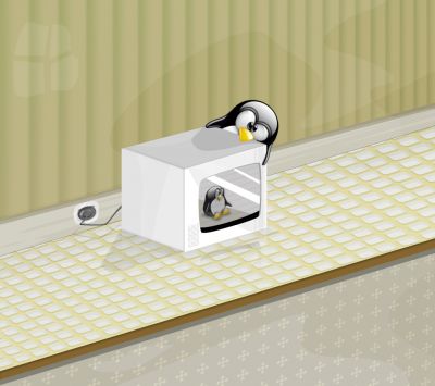 Pingüino en el Microondas