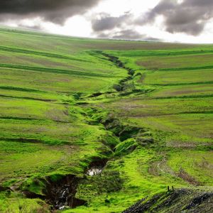 Paisaje Verde