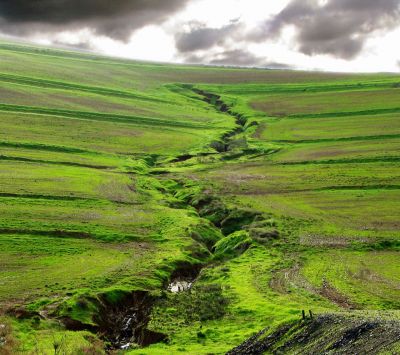 Paisaje Verde