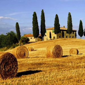 Paisaje Toscano con Pacas de Heno