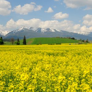 Hermoso paisaje montañoso