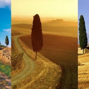 Paisaje Toscano
