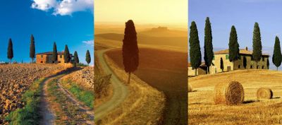 Paisaje Toscano