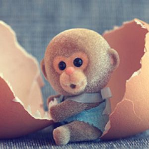 Adorable Bebé Mono