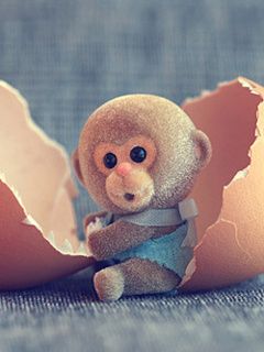 Adorable Bebé Mono