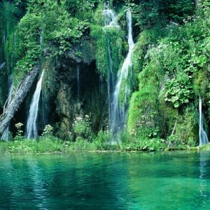 Cascadas Serenas y Vegetación Verde