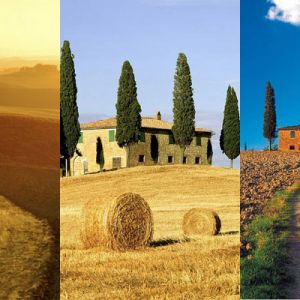 Paisaje Toscano