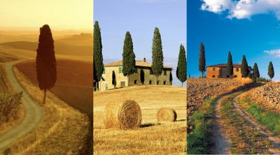 Paisaje Toscano