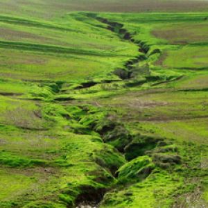 Paisaje Verde