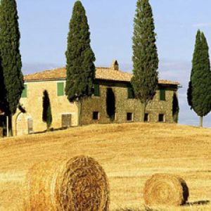 Paisaje Toscano