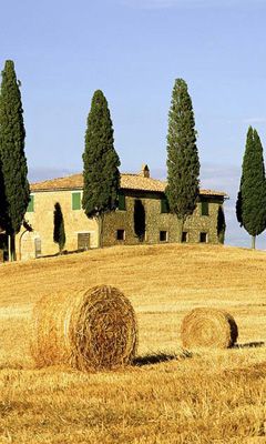 Paisaje Toscano