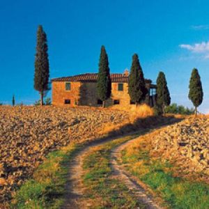 Paisaje Toscano Escénico