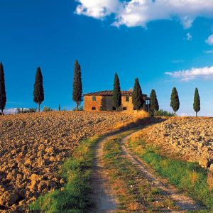 Paisaje Toscano