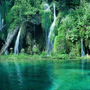 Cascadas Serenas y Vegetación Verde