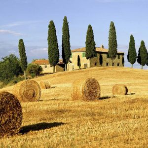 Paisaje Toscano