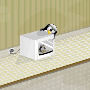Pingüino en el Microondas