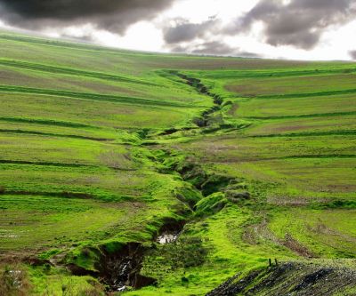 Paisaje Verde