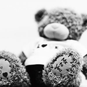 Teddy Bear Amoroso