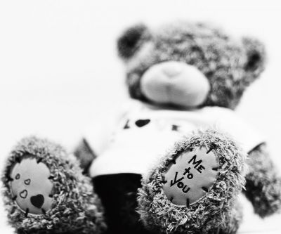 Teddy Bear Amoroso