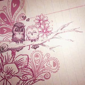 Búhos adorables en una rama
