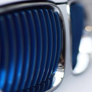 Rejilla de BMW en Detalle