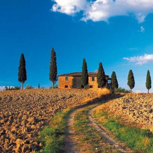 Paisaje Toscano