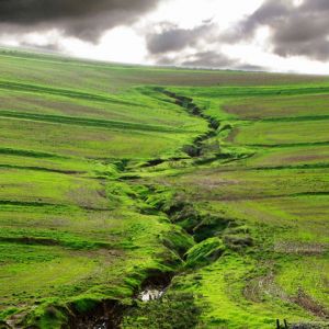Paisaje Verde
