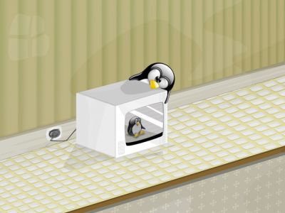 Pingüino en el Microondas
