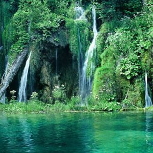Cascadas Serenas y Vegetación Verde