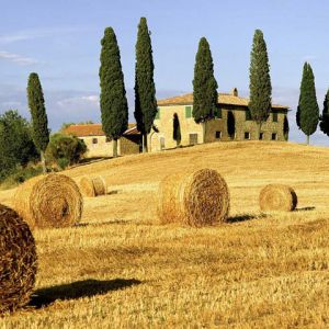 Paisaje Toscano