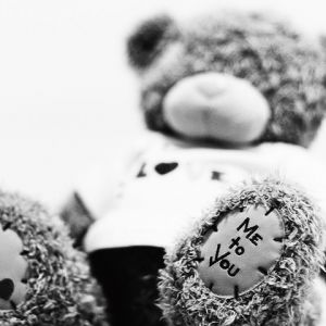 Osito de Peluche Amoroso