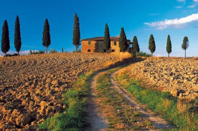 Paisaje Toscano con Cipreses