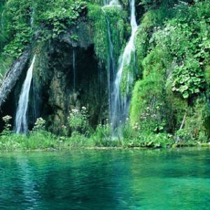 Cascada Serena en la Naturaleza