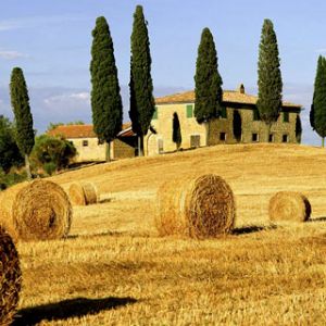 Paisaje Toscano