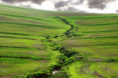 Paisaje Verde