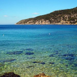 Vista Tranquila del Océano