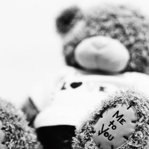 Teddy Bear Amoroso