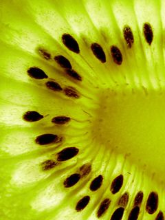 Close-Up de Kiwi