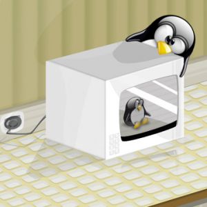 Pingüino en el Microondas